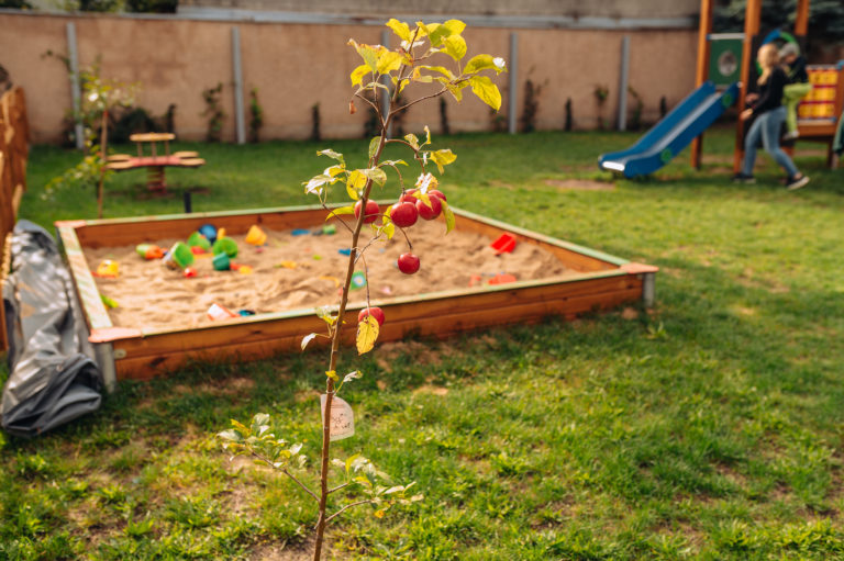 Przedszkole Zaczarowany Ogród Szczecin