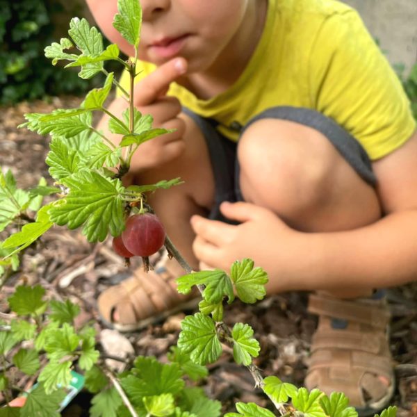 375465183_722581596547747_7884178420055097354_n